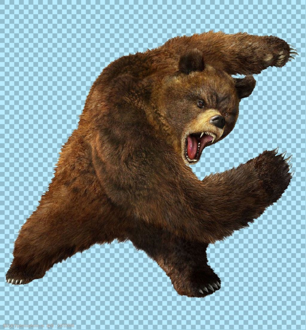 熊嘶吼的表情图图片