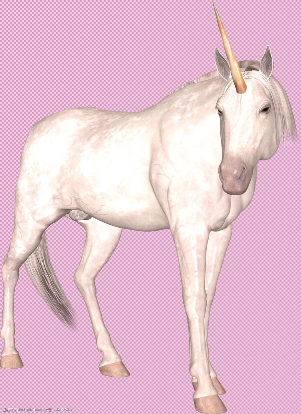 白色独角兽免抠png透明图层素材图片-图行天下图库