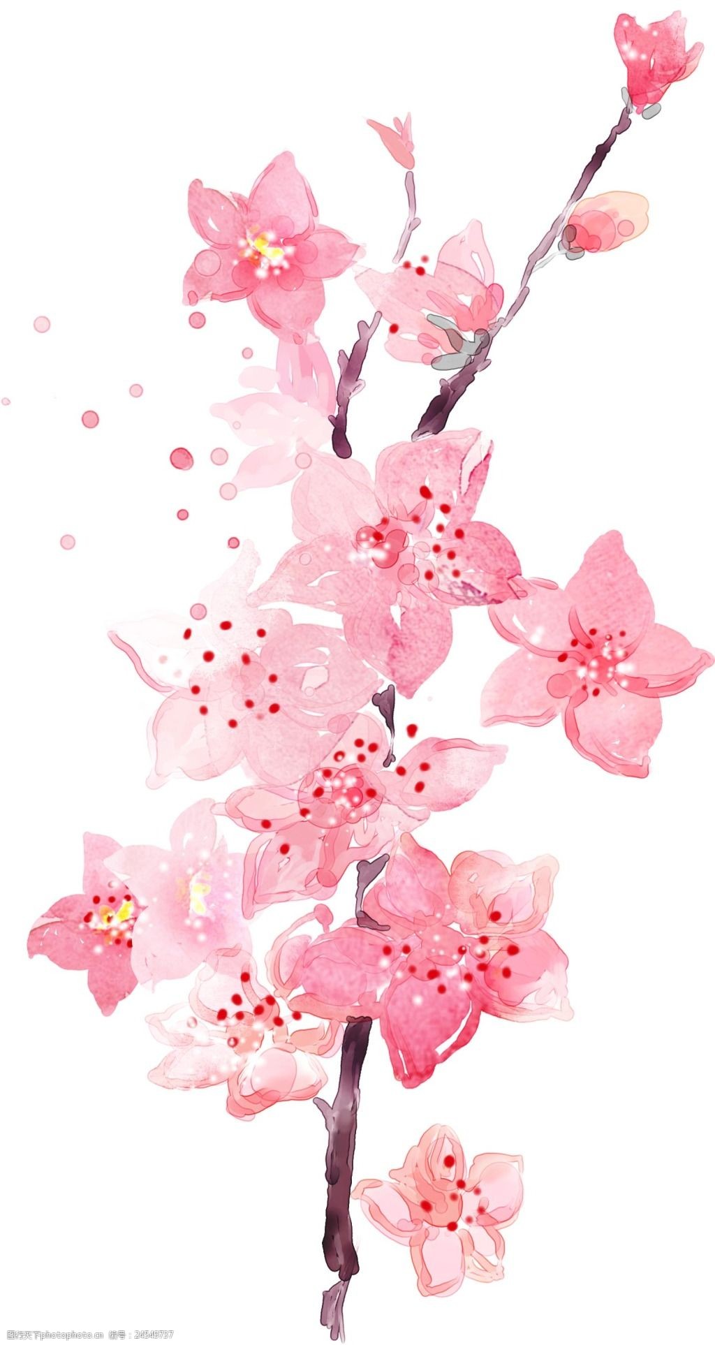 手绘粉色花朵元素 手绘 水墨 粉色渐变 花朵 花枝 png 免抠 素材 png
