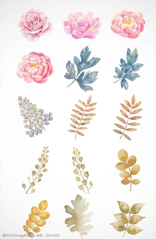 花草素材图片 图行天下素材网