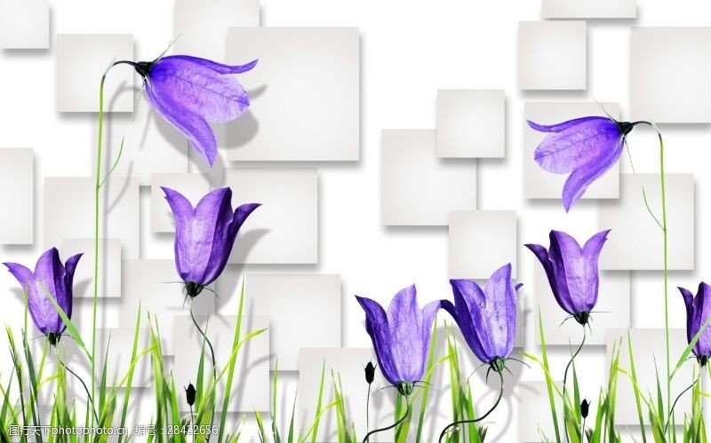 关键词:3d立体蓝鸢花 3d渲染        背景图 现代简约背景墙壁纸 墙纸