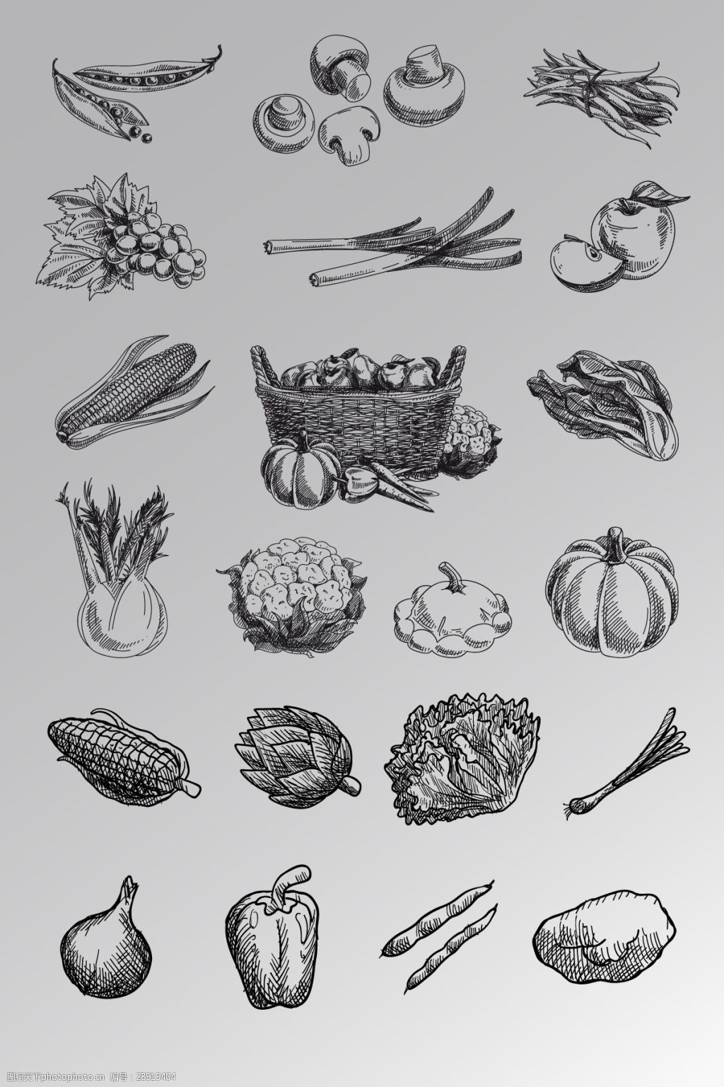 一组黑白素描水果蔬菜矢量图