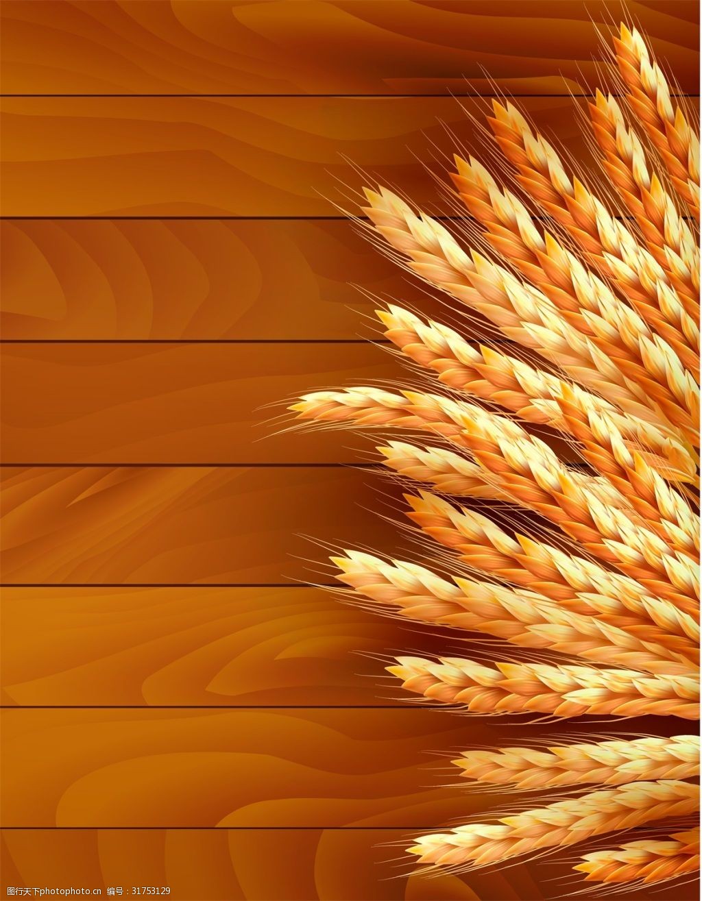 小麦原料矢量图片